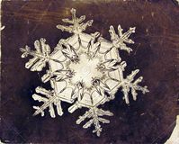 Snowflake by Wilson A. Bentley, the first person to capture the image of a single snowflake with a camera via telegraph.co.uk #Snowflake #Wilson_A_Bentley #telegraph