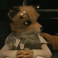 fantastic mr fox aesthetic, wes anderson, fantastic mr fox icon