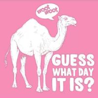 Guess what day it is... #humpday!