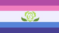 for nonbinary mspec people who are both achillean and sapphic ! ♡ alt term for sapphillean