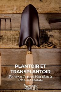 plantoir, transplantoir