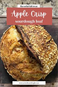 Apple Crisp Sourdough is a delicious combination of two treats: apple crisp and sourdough bread. This homemade loaf is filled with oats, sugar, cinnamon and pieces of grated apple to make for a fun and flavorful fall treat.