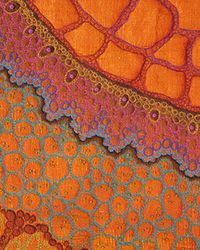 'Xylem" gorgeous biology inspired fiber arts by betty busby