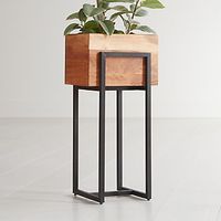 Indoor Outdoor Planters | Crate and Barrel