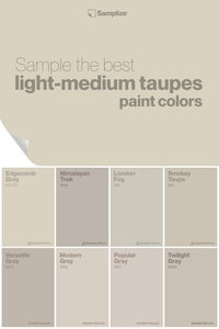 Sample the best light-medium taupe paint colors with Samplize! Explore and experience a curated selection of exquisite shades designed to elevate your space effortlessly.