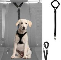 Keep fido safe on the way to your next adventure with The Car Leash. When used with a harness, The Car Leash is one of the best ways to keep you and your furry little friend safe while in the car.