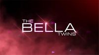 The Bella Twins