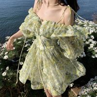 Green Floral Fairy Dressfrench Chiffon Dresscottagecore - Etsy Nigeria