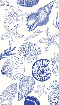 #sea #shell #seashells #starfish #phonebackground #wallpaper #blue