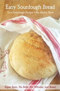 Basic Homemade Sourdough Bread. No bells, no whistles - just bread. This Easy Sourdough Bread recipe is perfect for beginning bakers and old sourdoughs alike! (Recipe requires only Sourdough Starter: no added yeast.) #sourdough #sourdoughbaking #sourdoughstarter #baking #sourdoughbread #sourdoughbreadrecipe