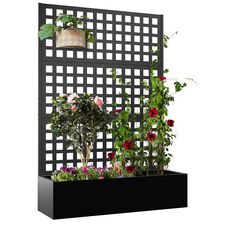 an outdoor planter with flowers and plants growing on it's sides, in front of a white background