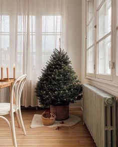 a small christmas tree sitting in the corner of a room next to a radiator