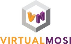 the virtual model logo with an orange and purple cube