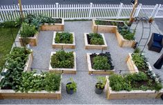 an aerial view of a garden with many different types of plants