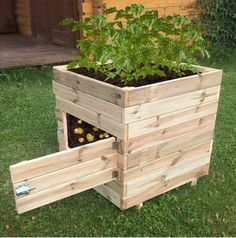 a planter made out of wooden pallets with plants growing in the bottom half