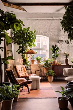 a living room filled with lots of plants and furniture