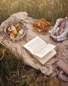 an open book is sitting on a blanket in the middle of a field with bread and fruit