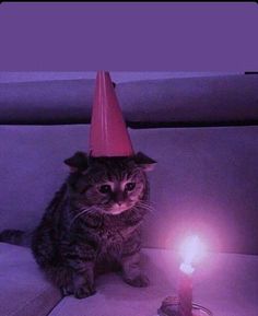 a cat wearing a party hat sitting next to a lit candle