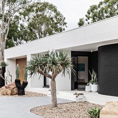 a black and white house with cactus trees in the front yard