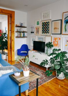 a living room filled with furniture and lots of plants on top of a wooden floor