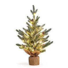 a small christmas tree is wrapped in brown paper and has lights on the branches,