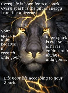 a lion's face with the words, every life is born from a spark