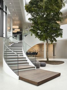 a tree is in the middle of a large room with stairs and glass railings