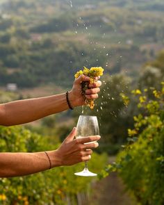 a person holding a wine glass in their hand and sprinkles flowers into it