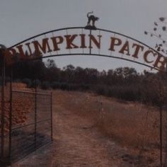 a sign that says pumpkin patch hanging over a dirt road in front of a field