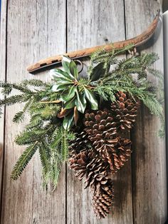 pine cones and evergreen needles are hanging on a wooden board