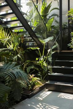 some plants are growing on the side of stairs