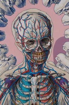 a painting of a human skeleton with blood vessels running through it's body and neck