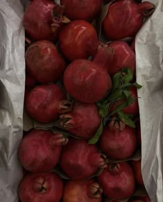 there are many pomegranates in the bag