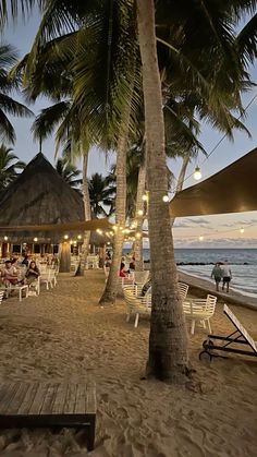 people sitting at tables on the beach under palm trees