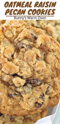 A close up picture of Oatmeal Raisin Pecan Cookies Trendy Cookies, Cookies Oatmeal Raisin, Soft Oatmeal Raisin Cookies, Chewy Oatmeal Cookies Recipe, Chewy Oatmeal Raisin Cookies, Best Oatmeal Cookies