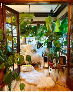 a living room filled with lots of plants next to a wooden floor covered in white blankets