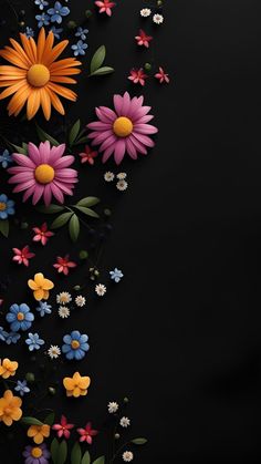 colorful flowers on a black background with space for your text or image to be added