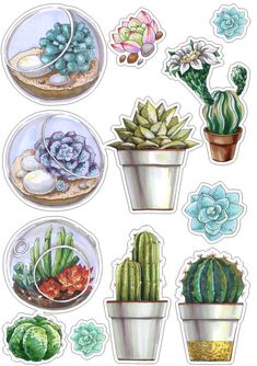 stickers with different types of succulents and flowers in pots on them