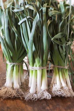 some green onions are tied up on a wooden table and ready to be picked from the garden