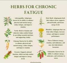 herbs for chronic fatigue are shown in this chart, with the corresponding ingredients and their uses