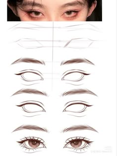 an image of different types of eyes with the same amount of lashes on each eye