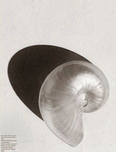 an overhead view of a light bulb on a white wall with black and white background