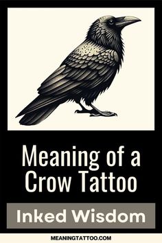 a crow sitting on top of a black and white sign that says meaning of a crow tattoo