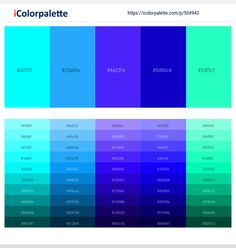 the color palette is shown in different shades