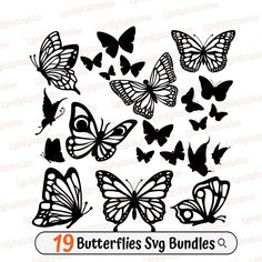 the butterflies svg bundle is available for use in silhouettes, photos and other projects