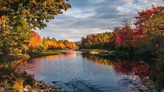 a river surrounded by lots of trees with fall foliage on the banks and rocks in the foreground