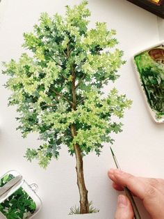 someone is painting a tree with watercolors