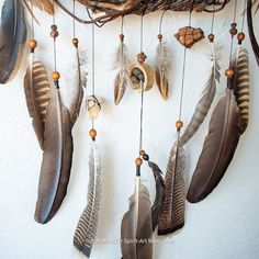 a group of feathers hanging from the side of a wall