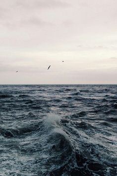 two birds flying over the ocean on a gloomy day with waves in the foreground