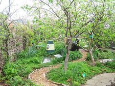 a garden with lots of plants and trees